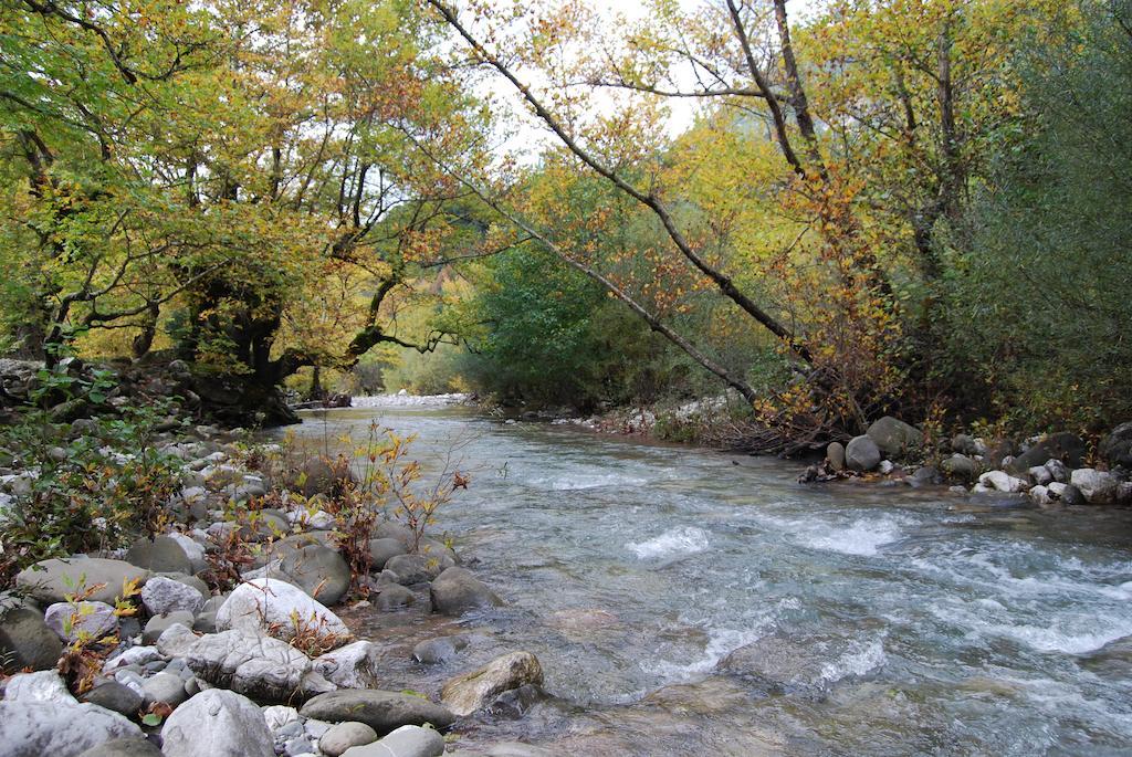 Dryades Guesthouse Ano Chora Oda fotoğraf