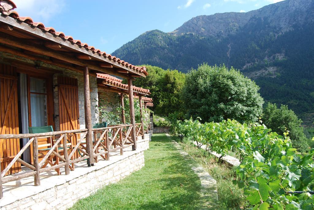 Dryades Guesthouse Ano Chora Oda fotoğraf