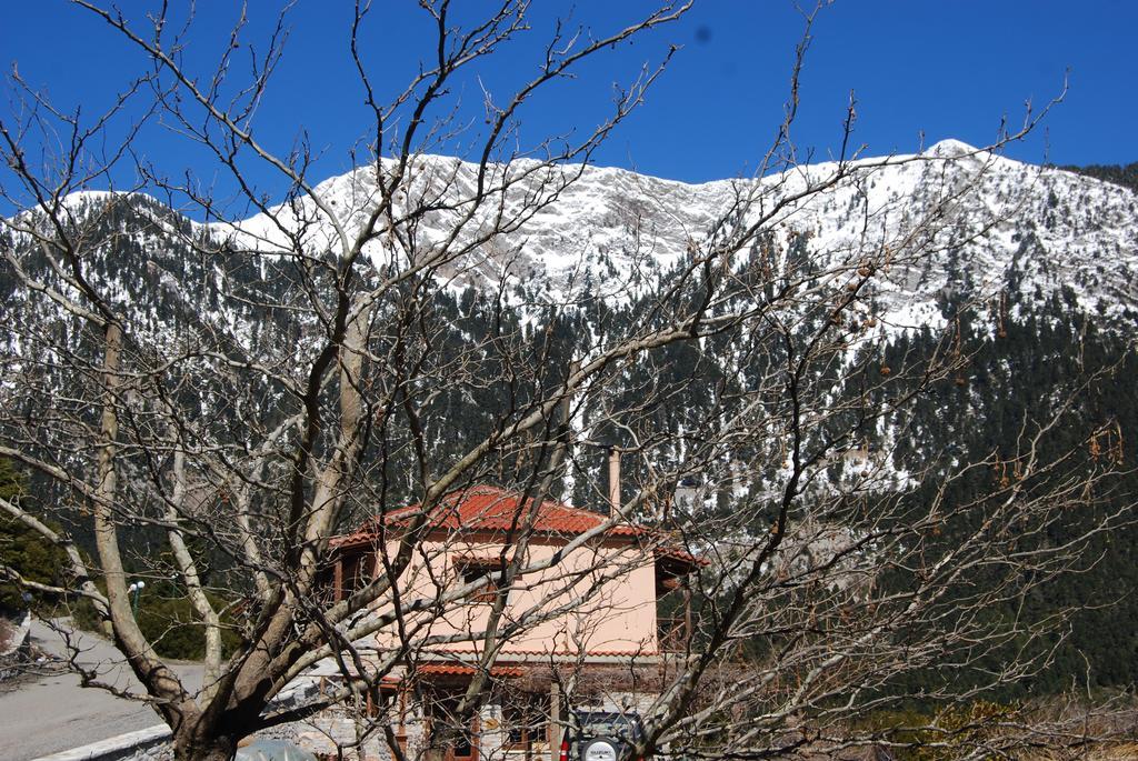 Dryades Guesthouse Ano Chora Dış mekan fotoğraf