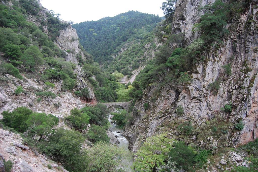 Dryades Guesthouse Ano Chora Dış mekan fotoğraf