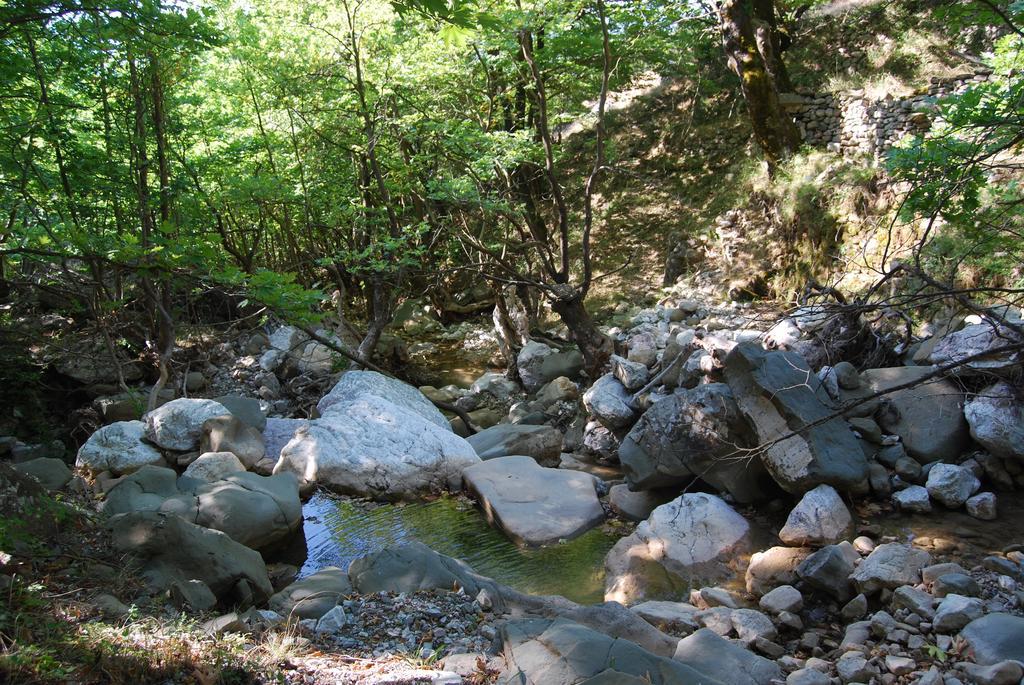 Dryades Guesthouse Ano Chora Dış mekan fotoğraf